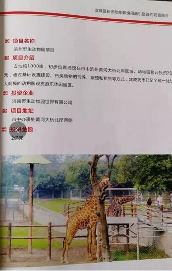 厲害了我的大濱州，15個招商引資項目集中簽約！